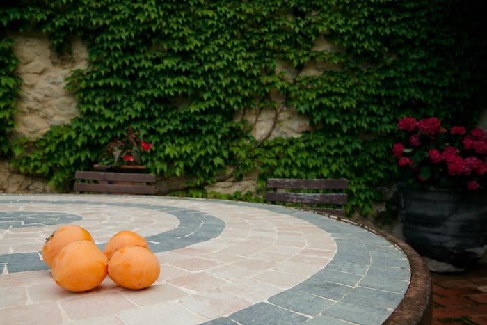 Mas Roquet Guest House Macanet De Cabrenys Ngoại thất bức ảnh